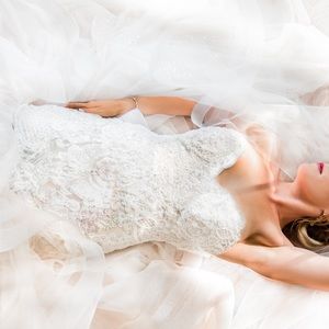 Wedding dress and veil